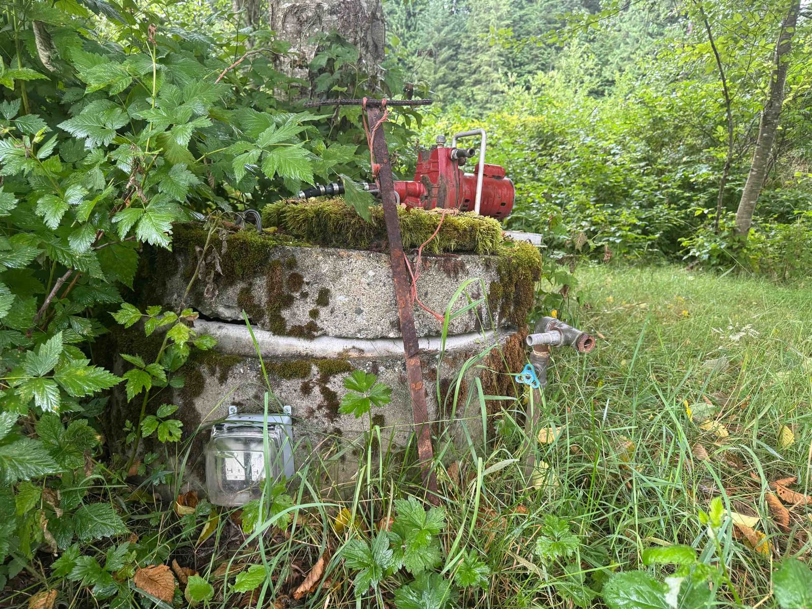 Listing Image 31