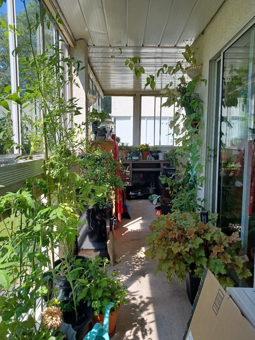 Listing Image 13