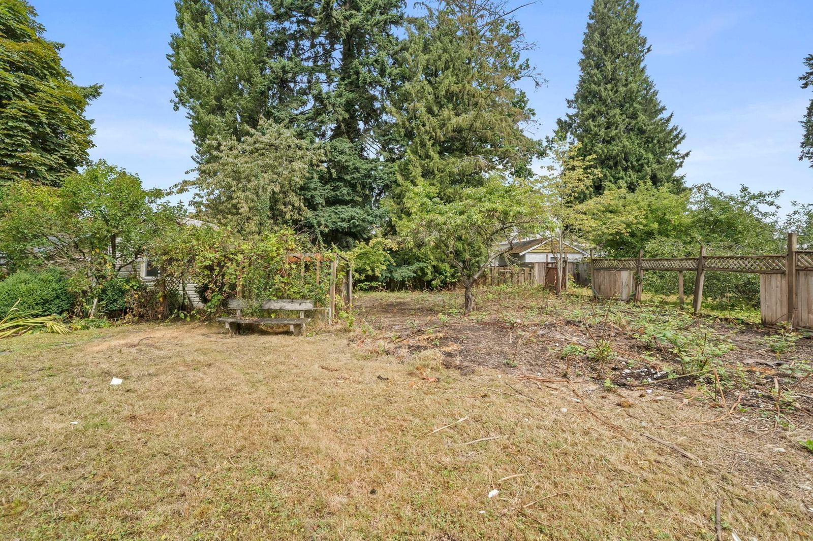 Listing Image 31