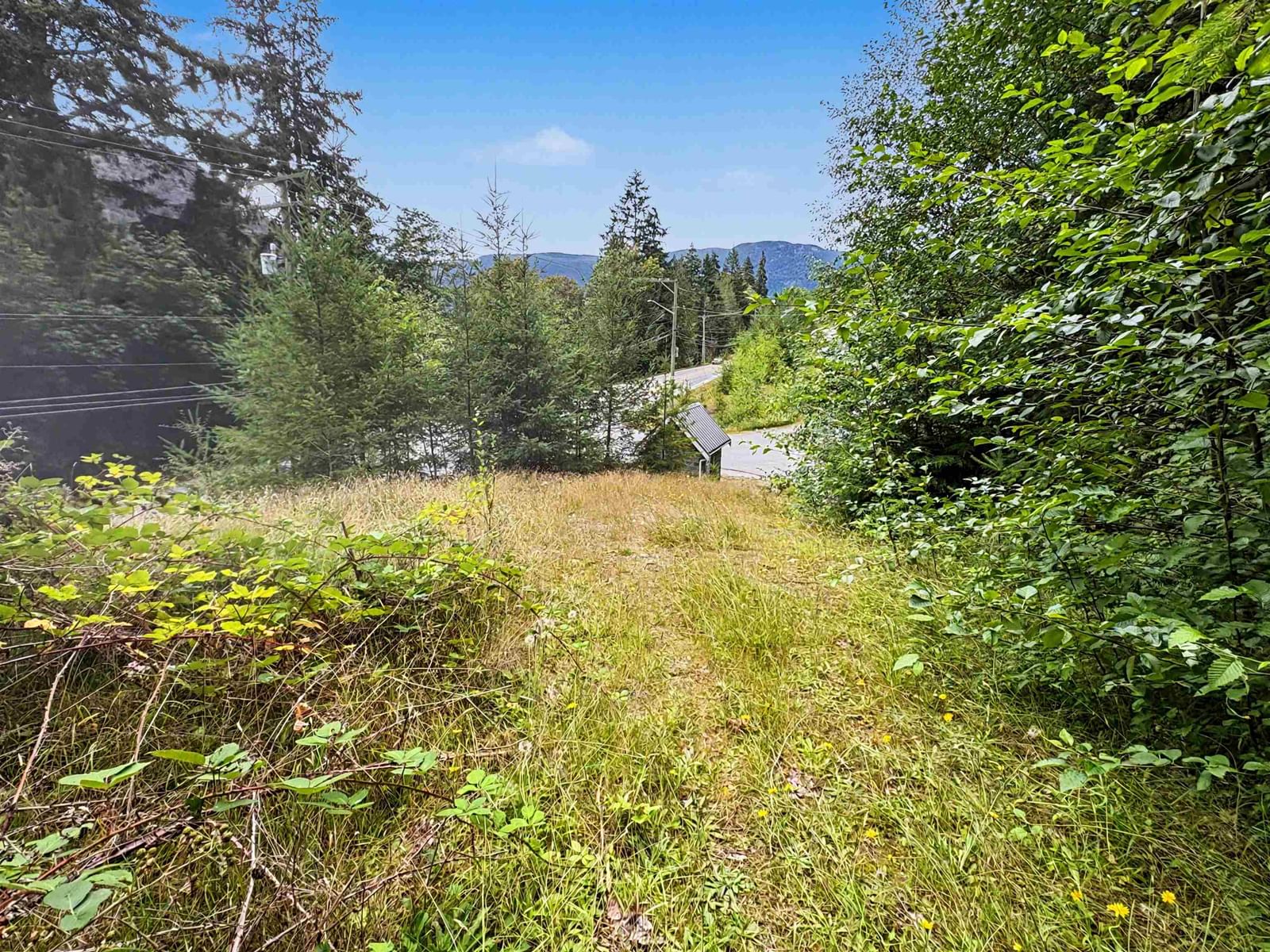 Listing Image 8