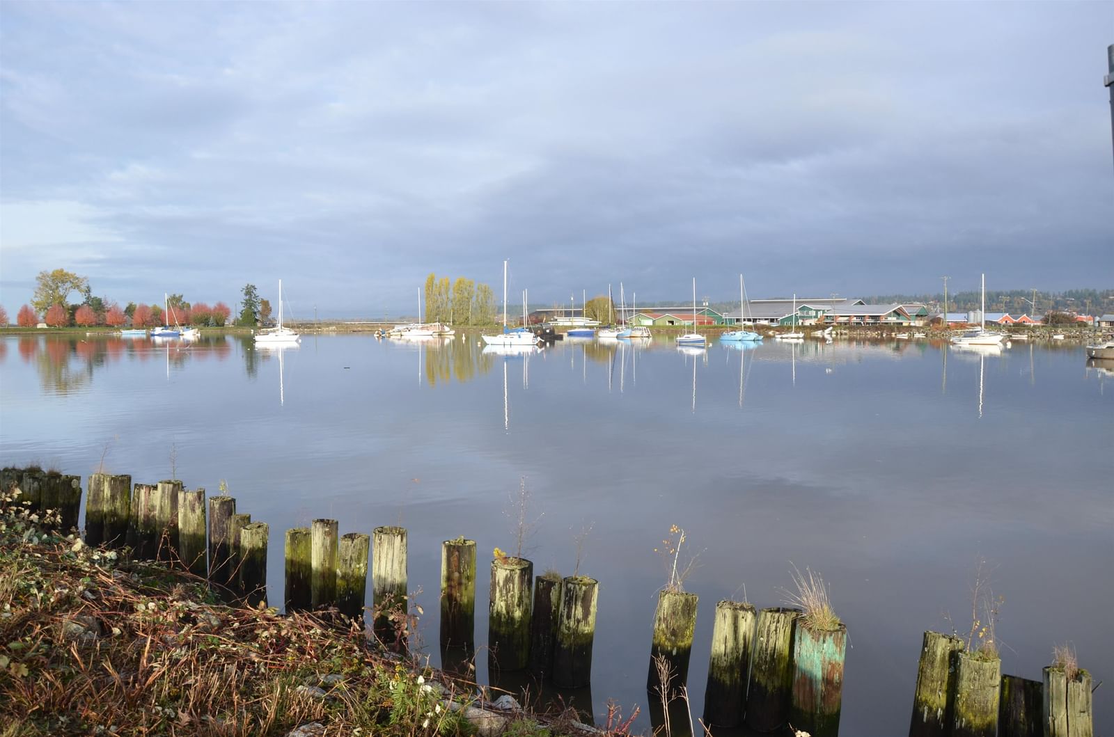 Listing Image 34