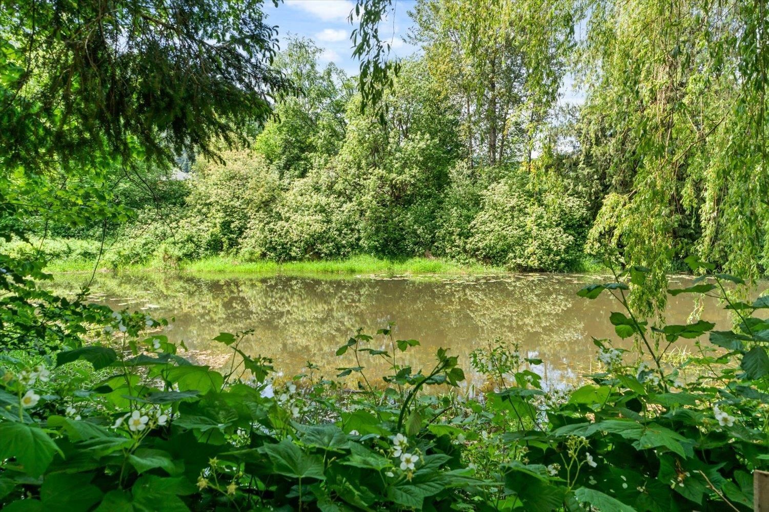 Listing Image 37