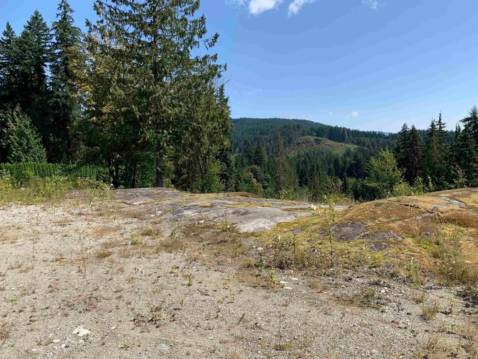 Listing Image 24