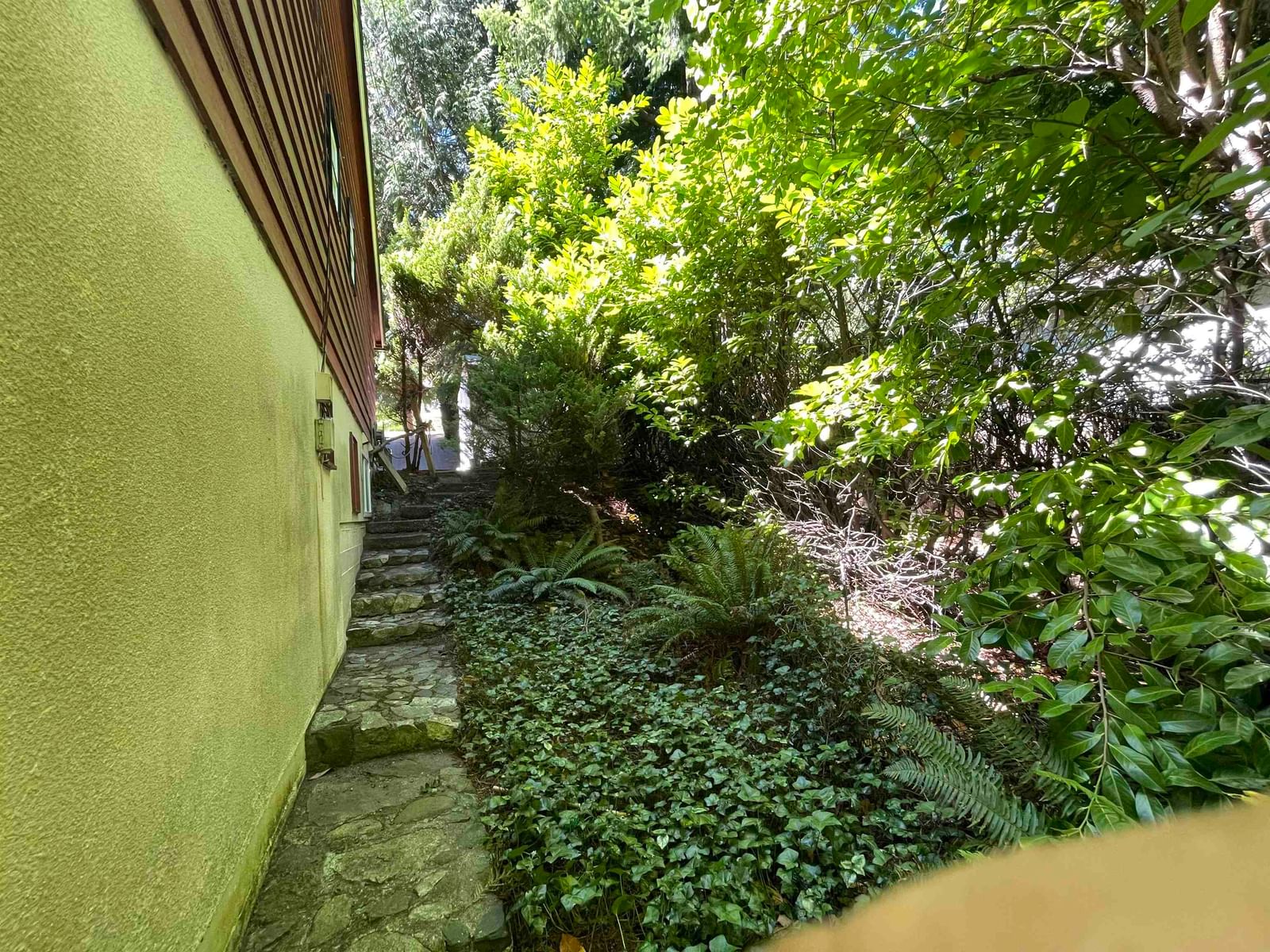 Listing Image 37