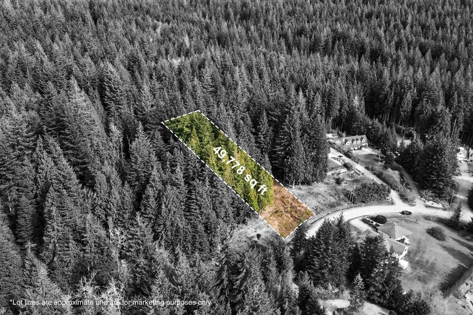 Listing Image 4