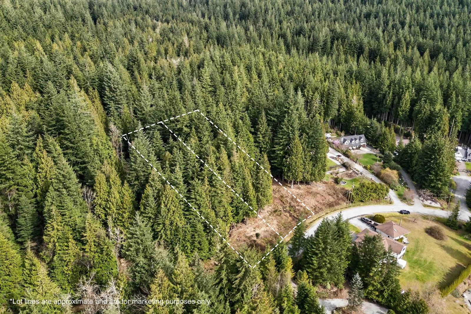 Listing Image 8