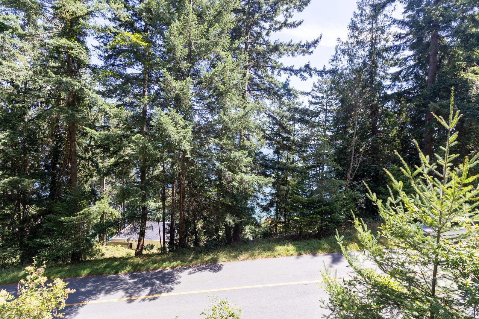 Listing Image 25