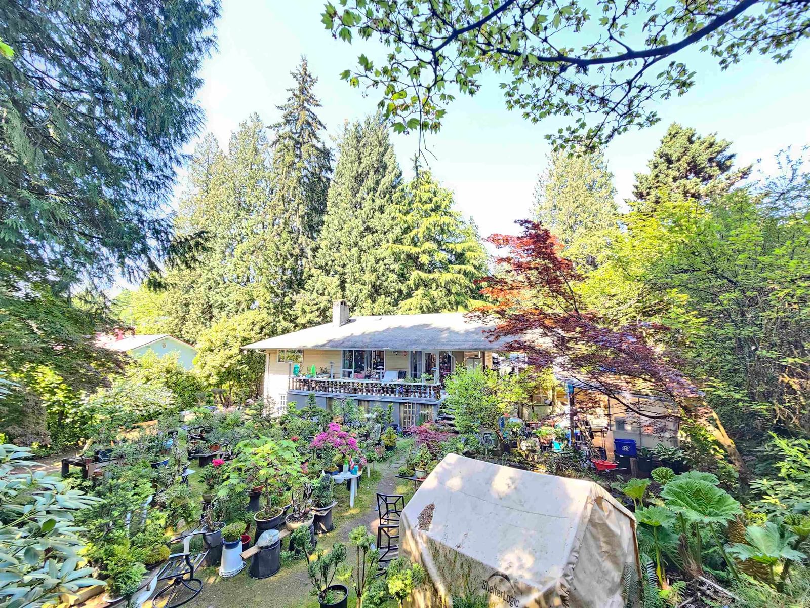 Listing Image 23
