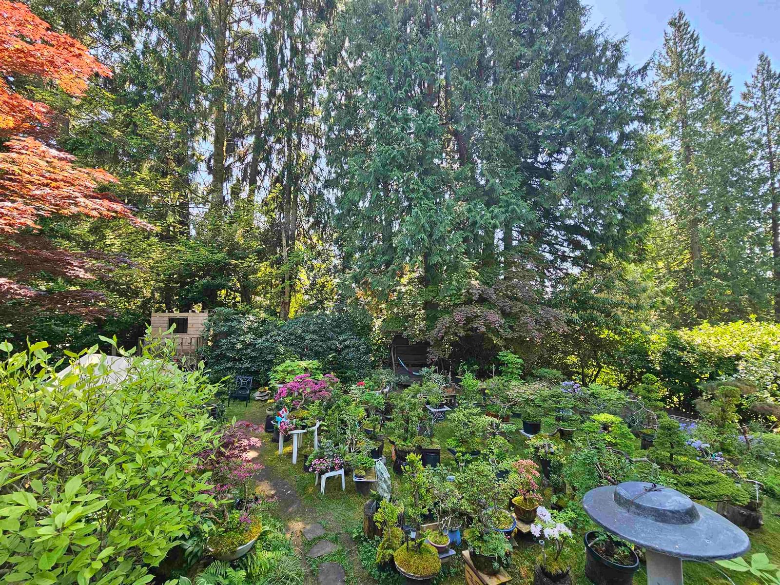 Listing Image 4