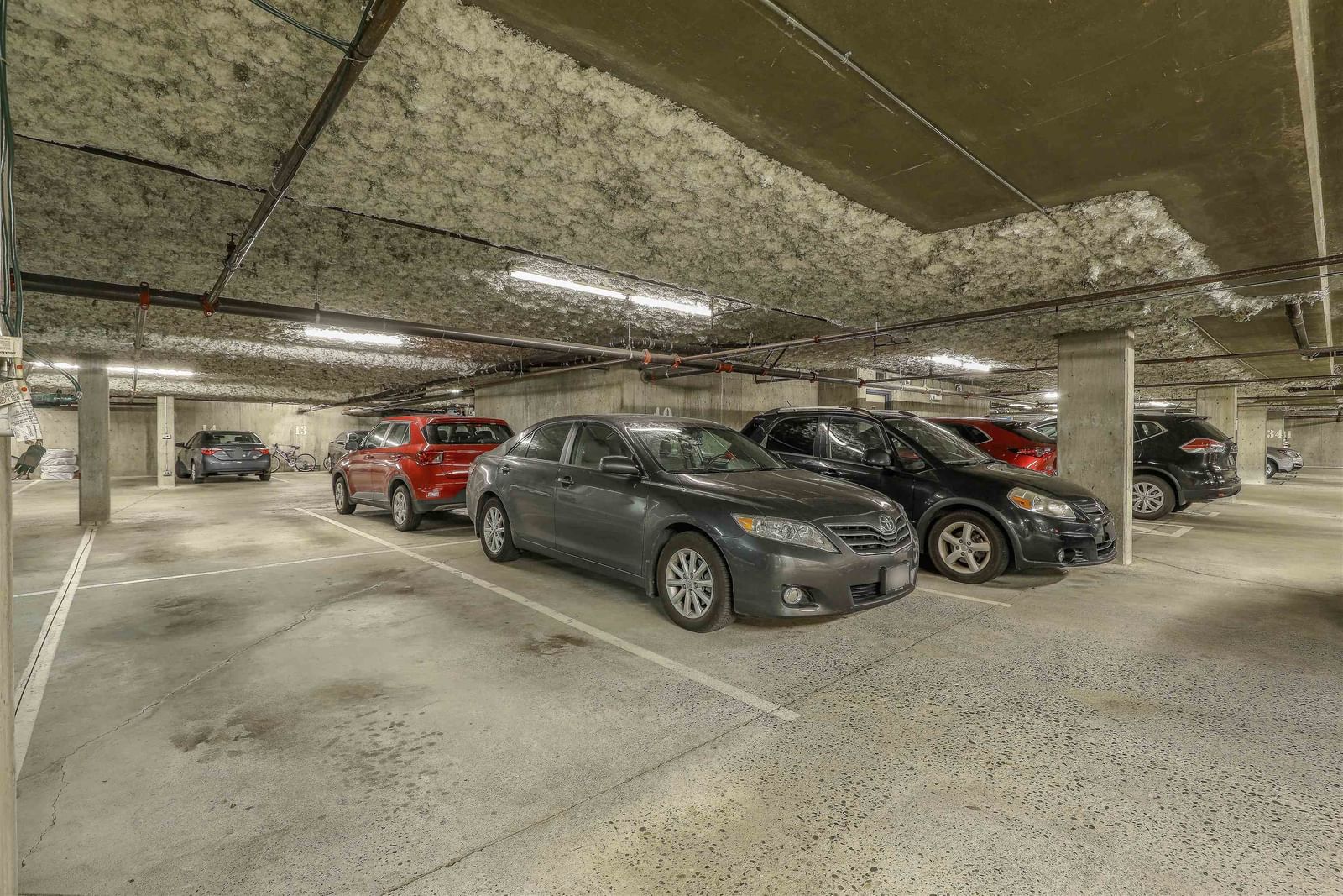 Listing Image 5