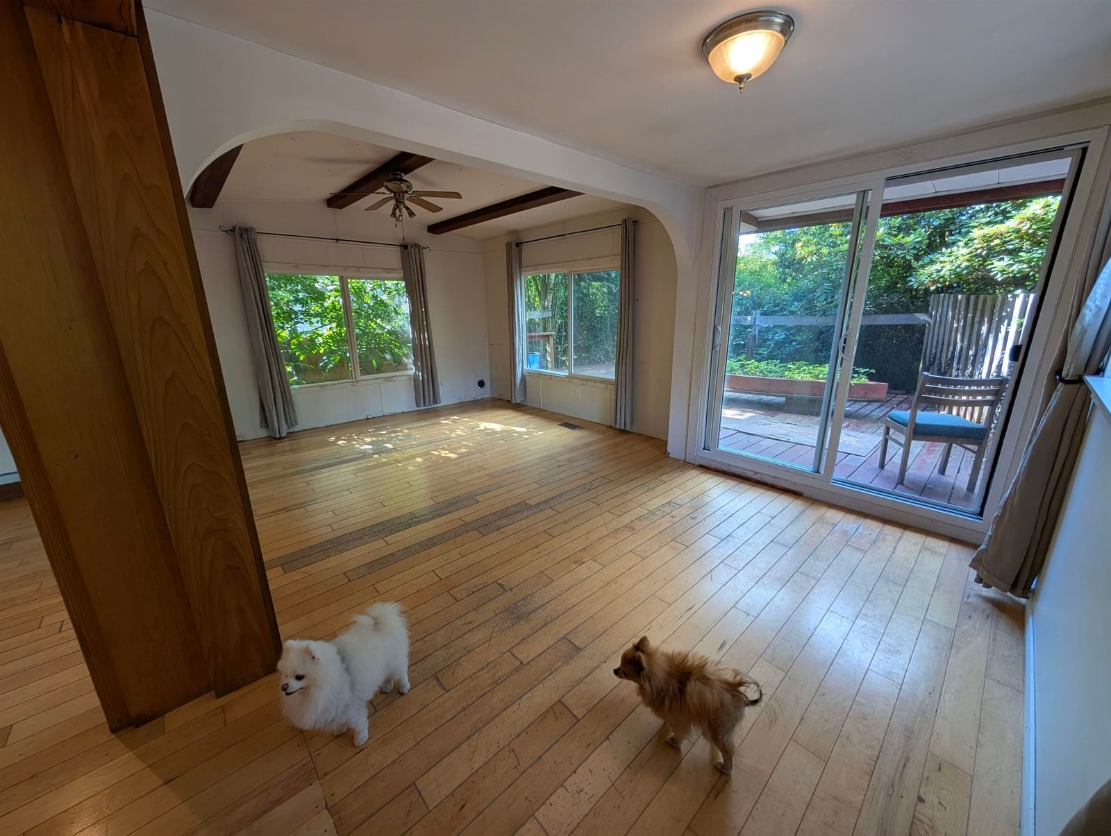 Listing Image 4
