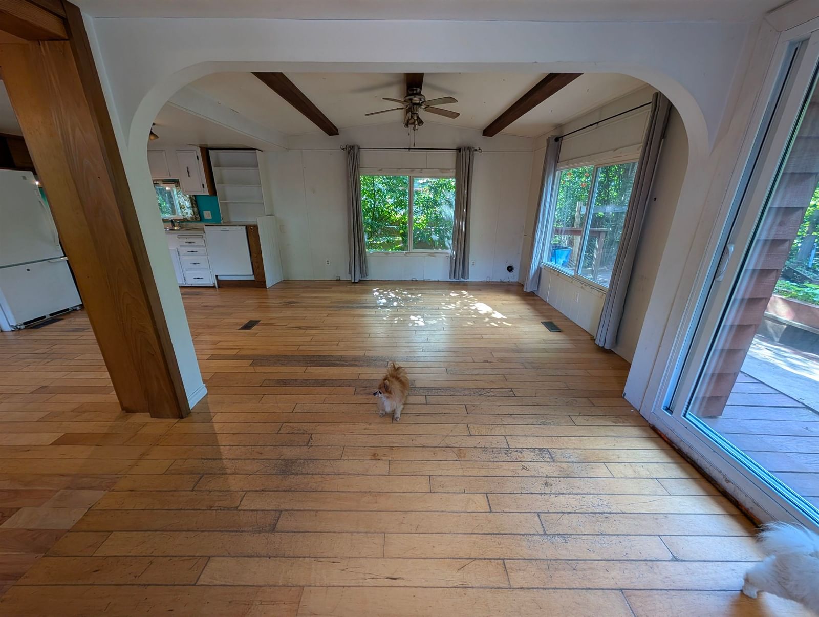 Listing Image 5