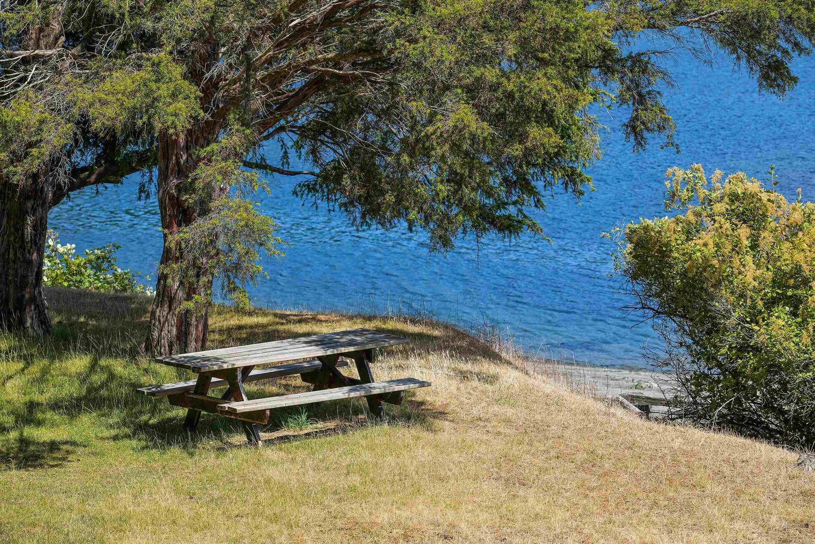 Listing Image 40