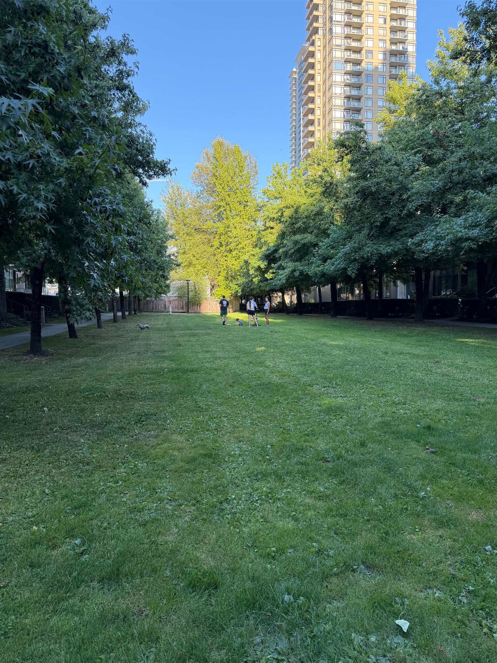 Listing Image 11