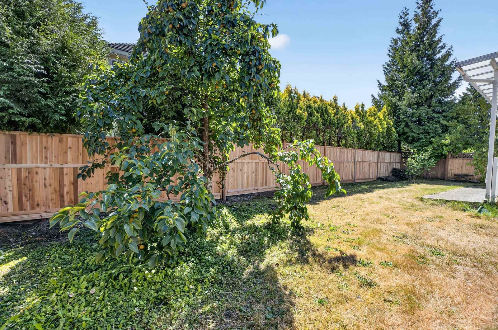 Listing Image 39