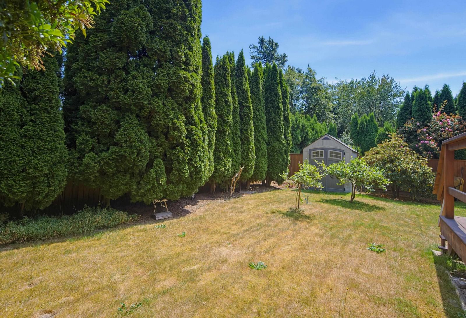 Listing Image 31