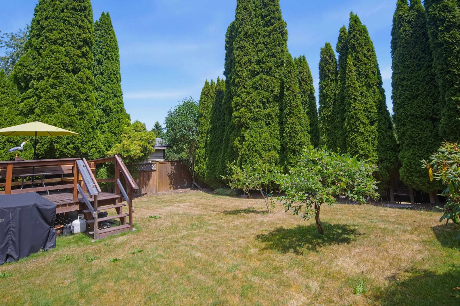 Listing Image 33
