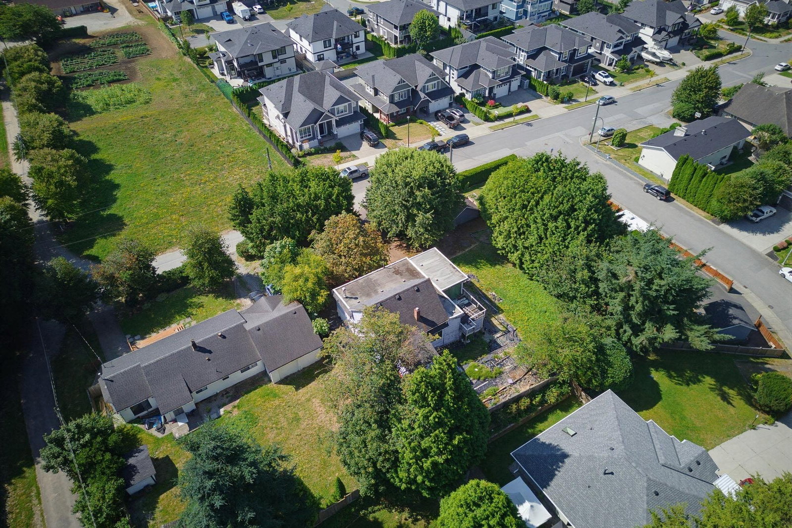 Listing Image 19
