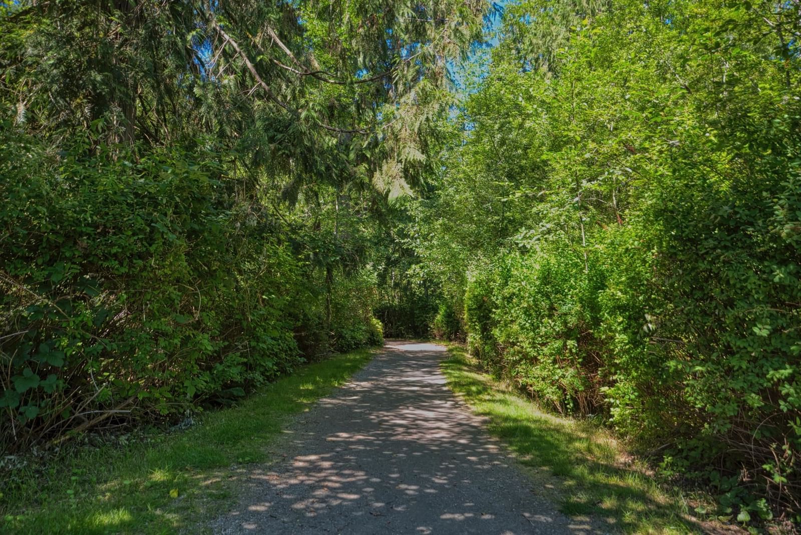 Listing Image 34