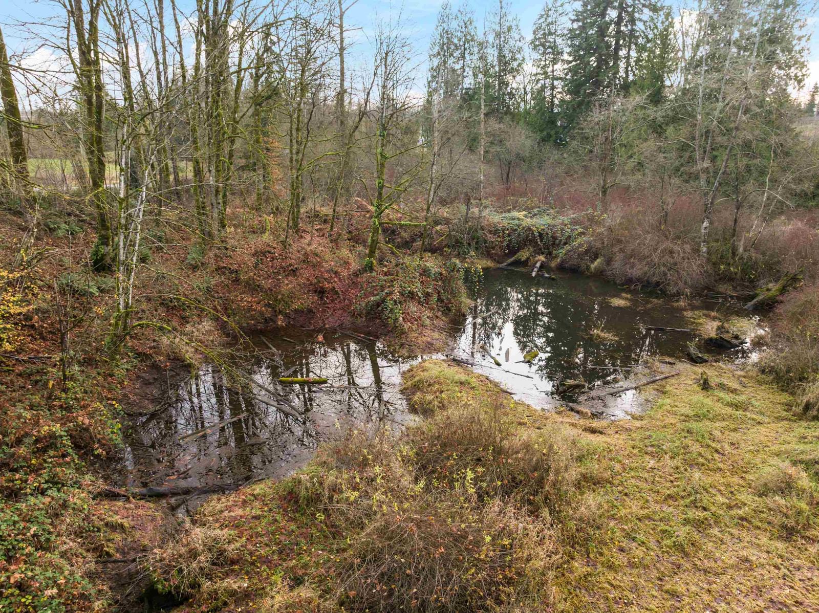 Listing Image 38