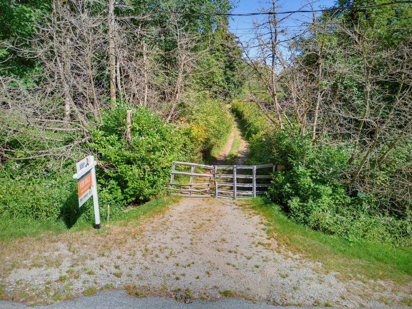 Listing Image 25