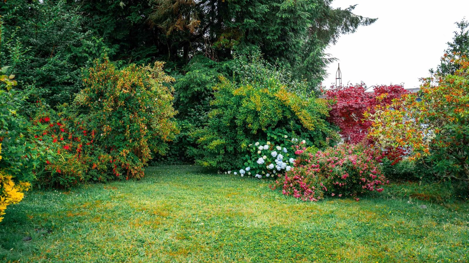Listing Image 16