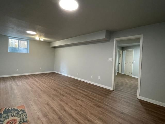Basement - 16909 83a Avenue