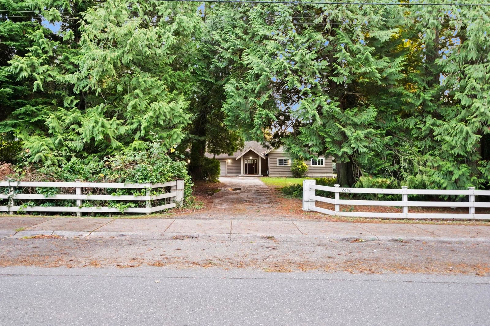 Listing Image 20