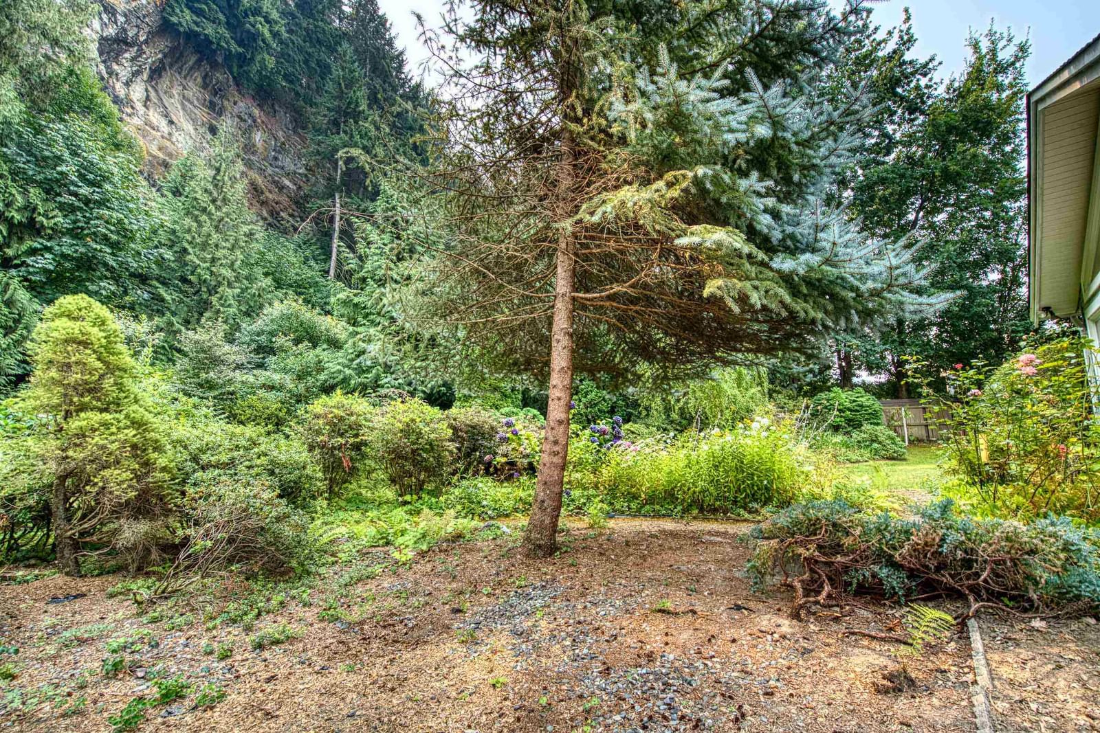 Listing Image 34