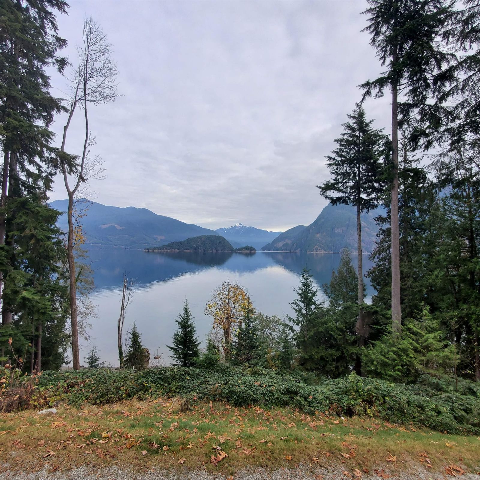 Listing Image 40