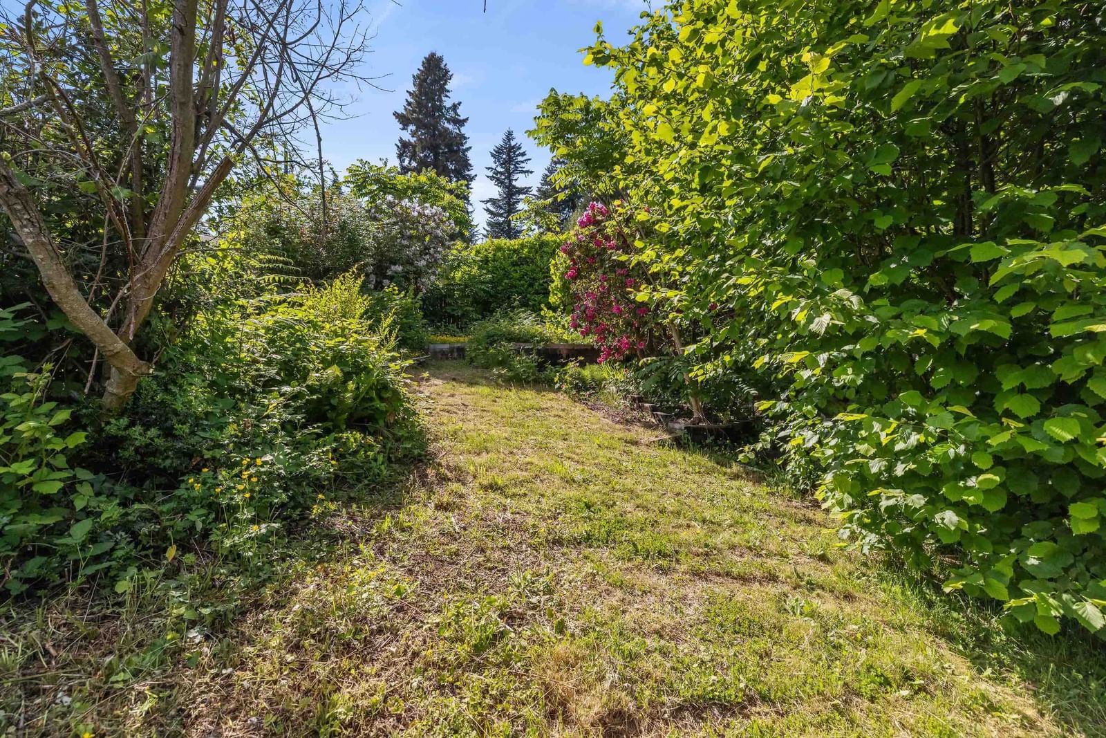 Listing Image 32
