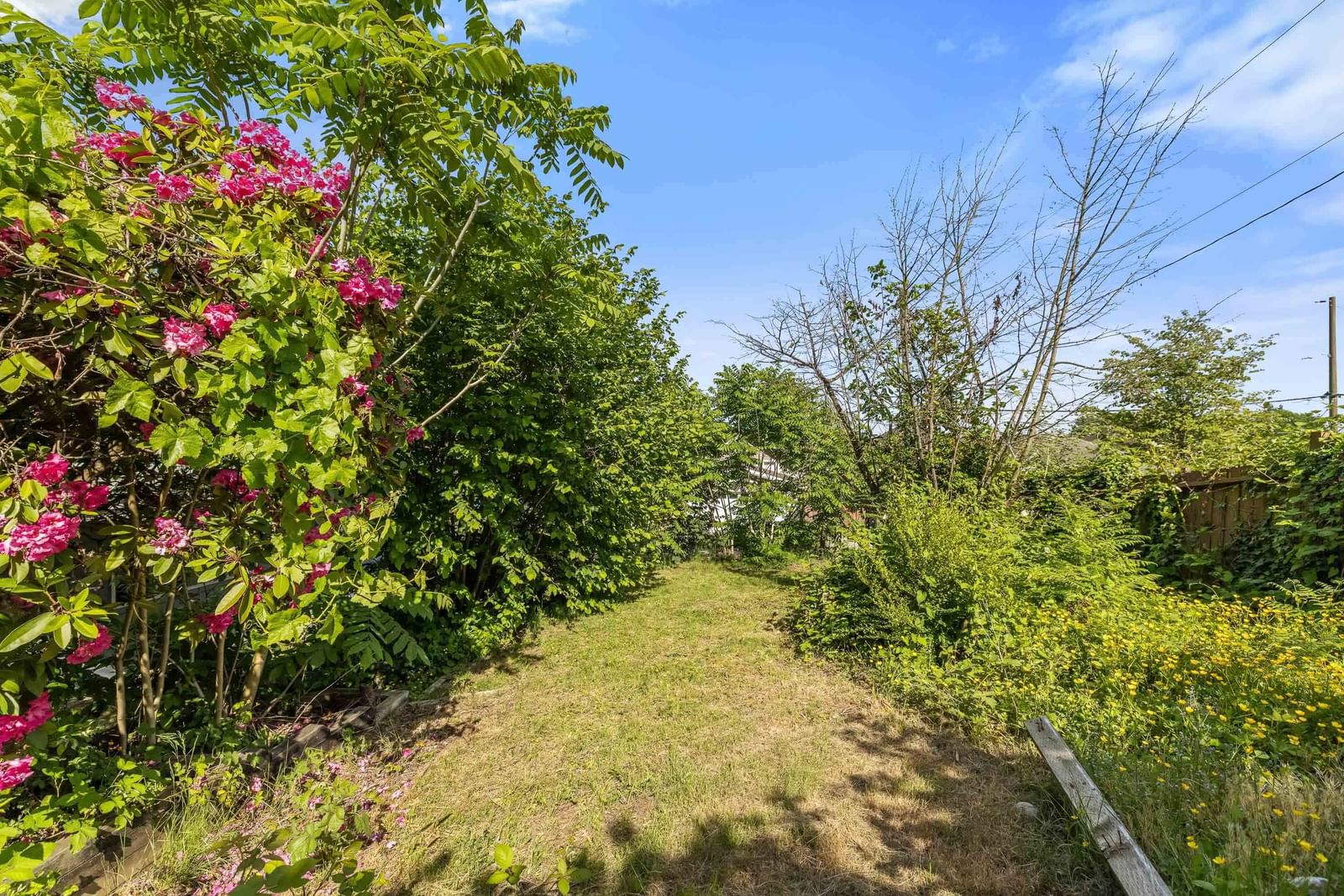 Listing Image 33