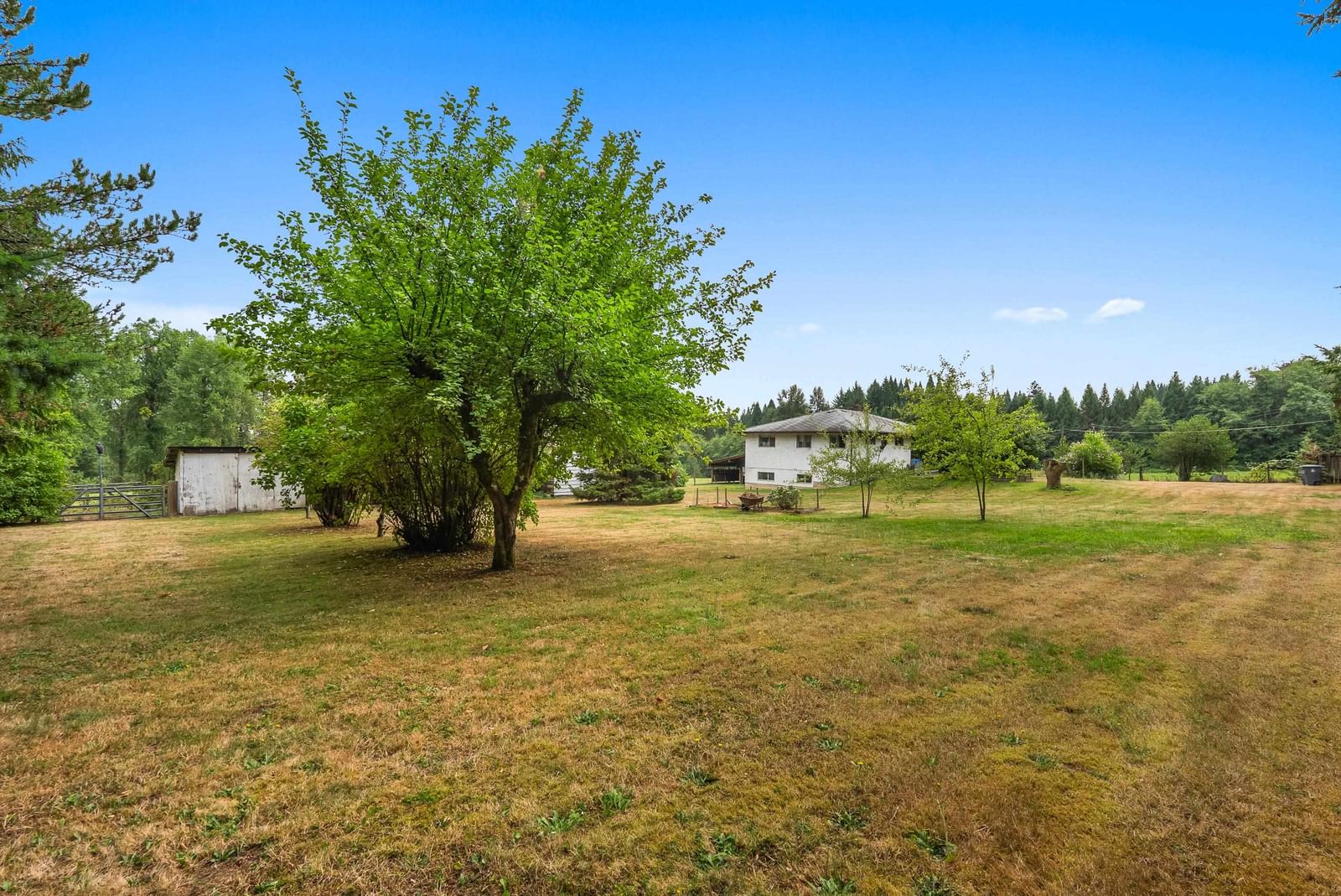 Listing Image 18