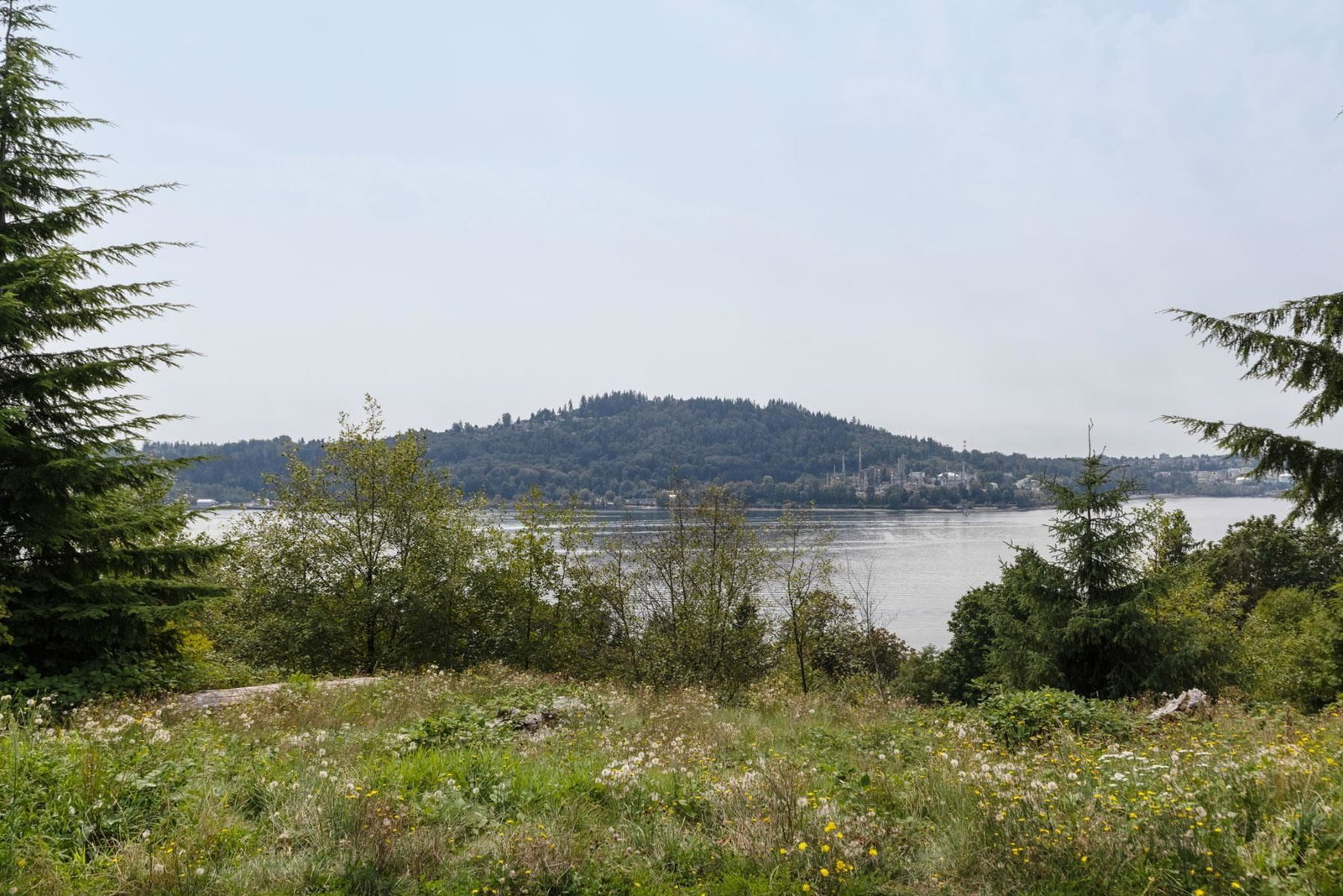 Listing Image 29
