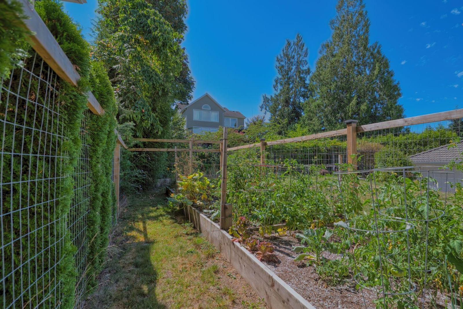 Listing Image 39