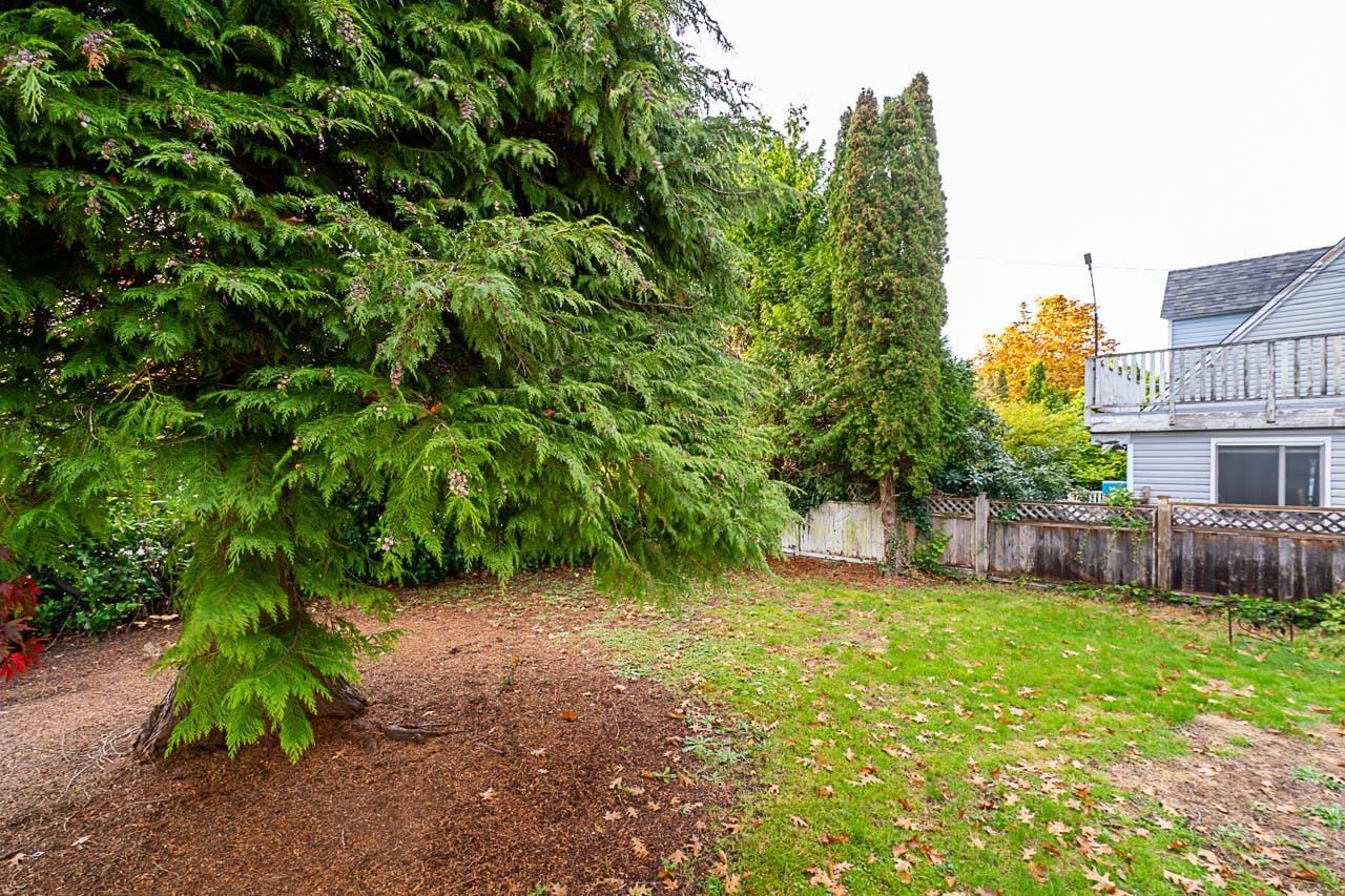Listing Image 13