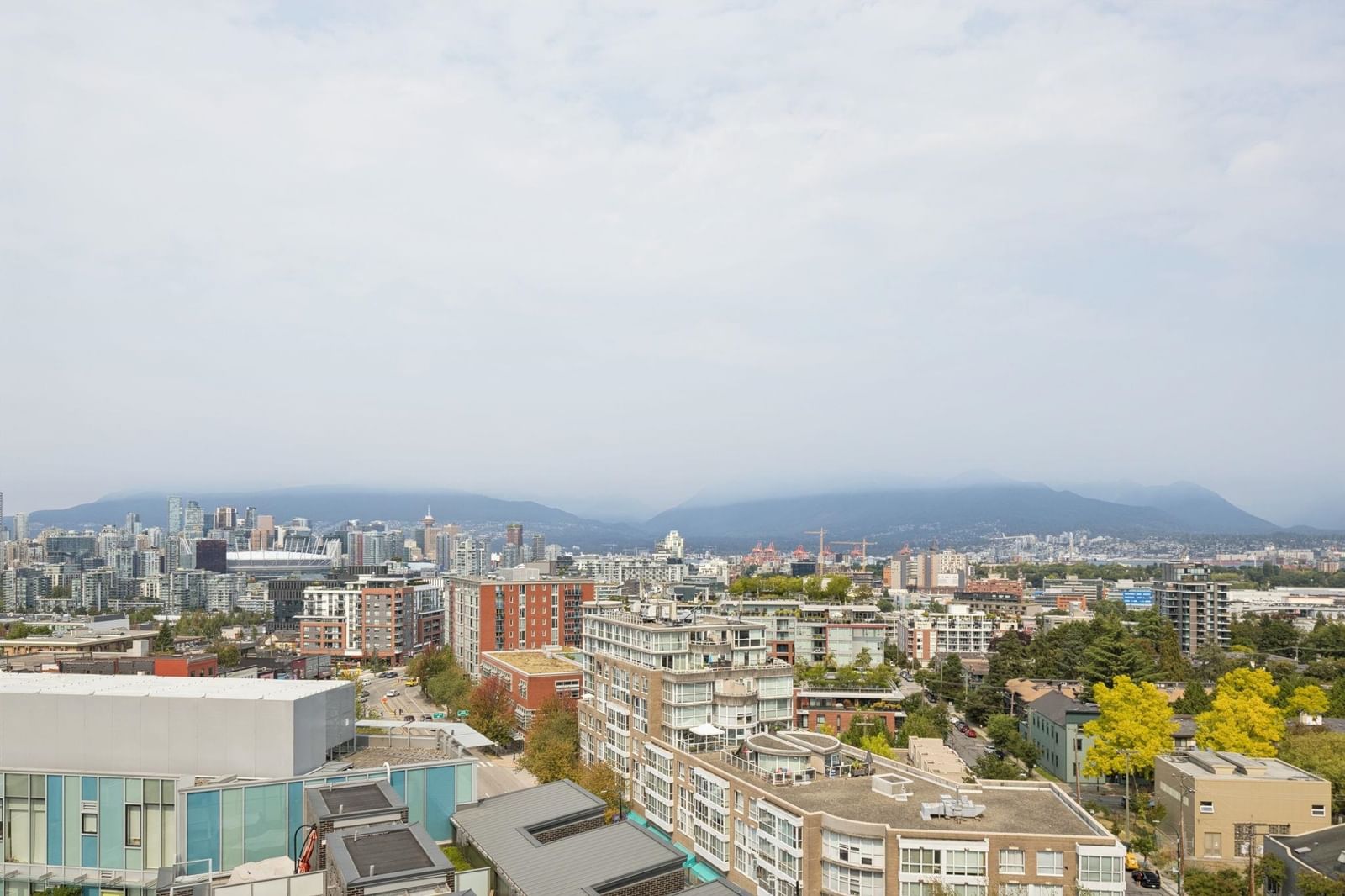 Listing Image 15