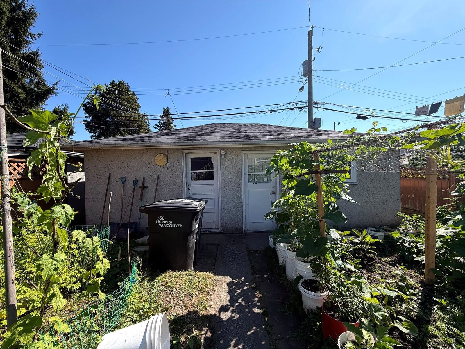 Listing Image 21