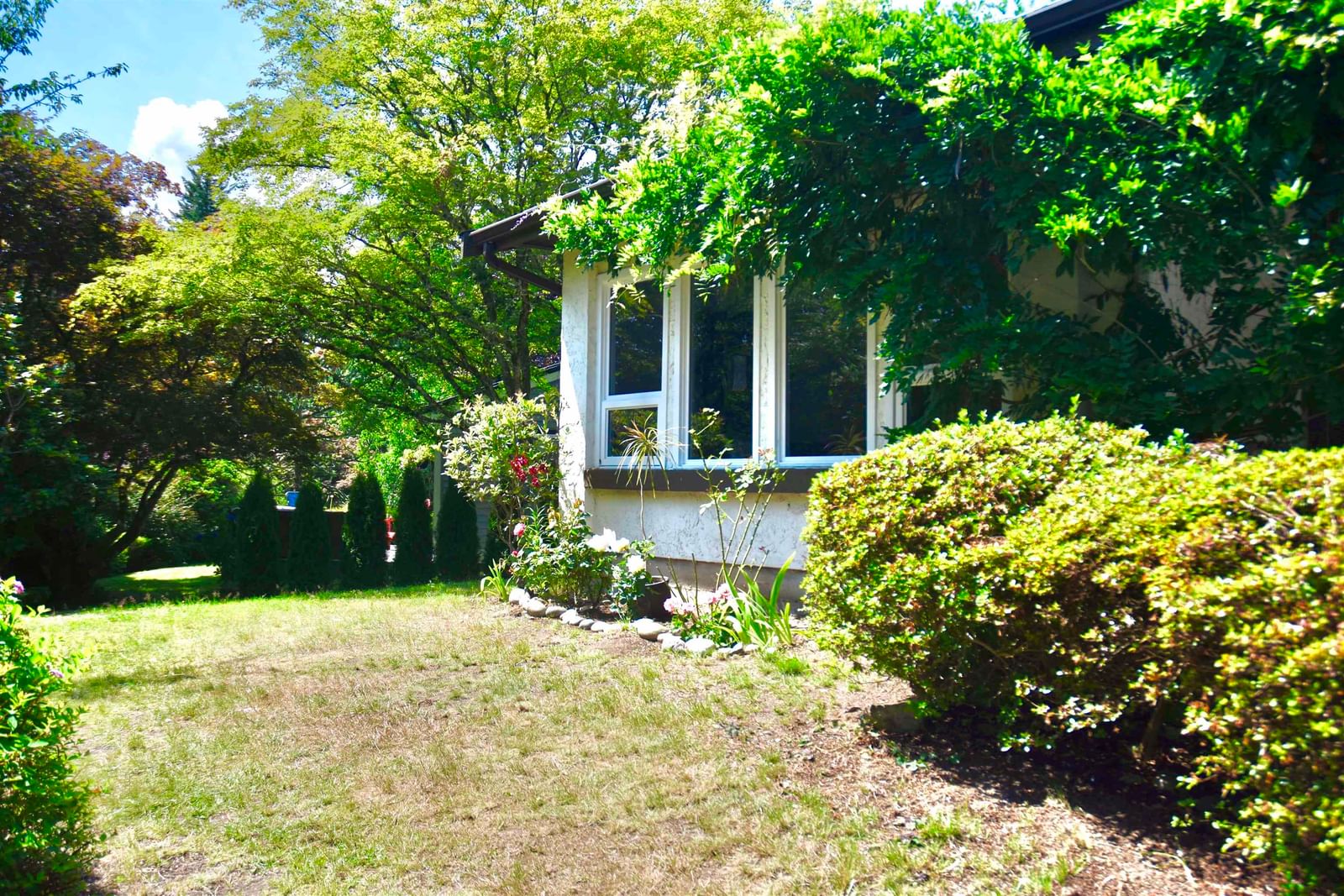Listing Image 37