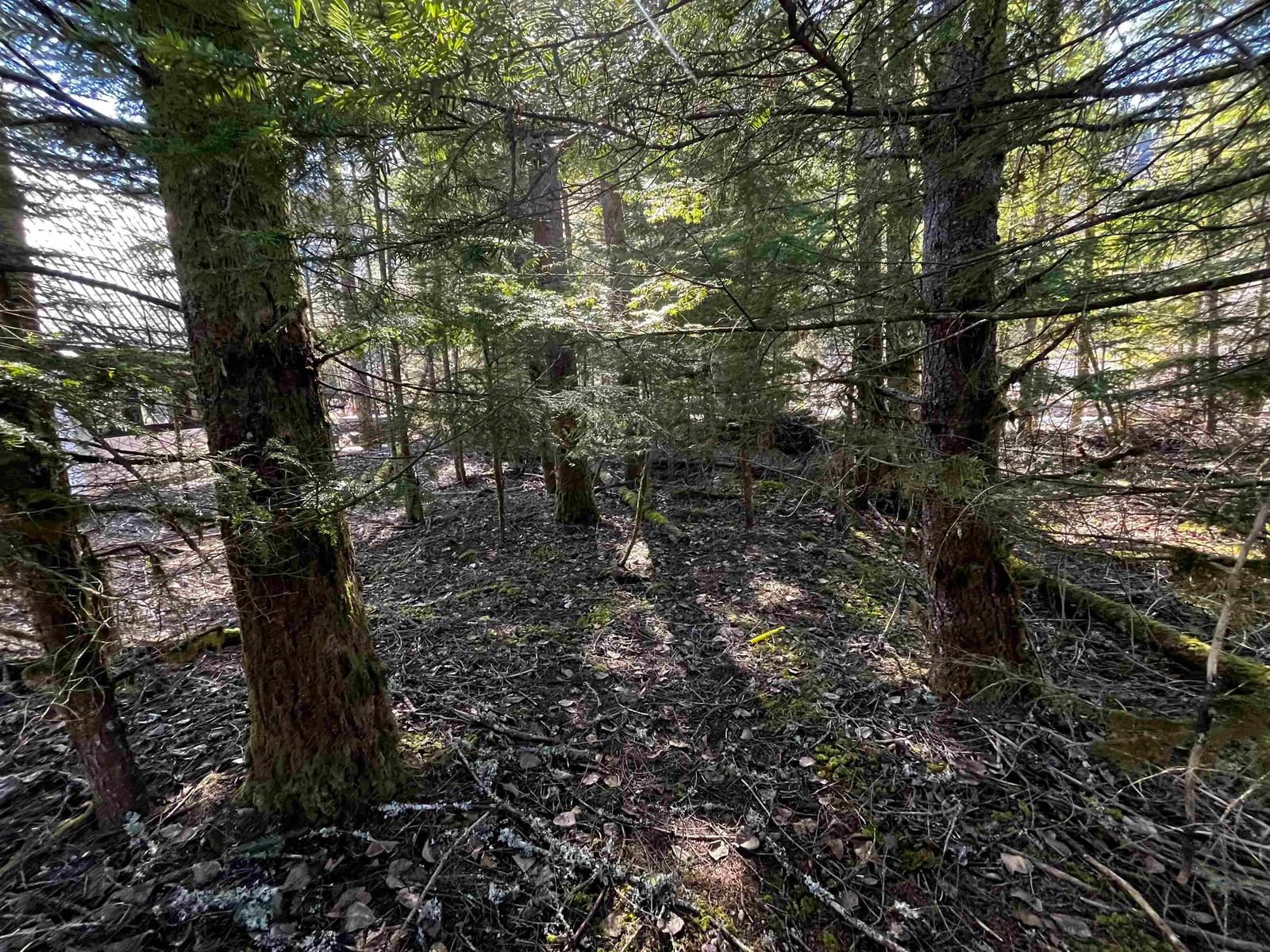 Listing Image 6