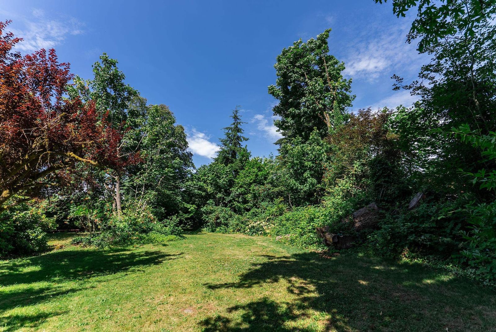 Listing Image 39