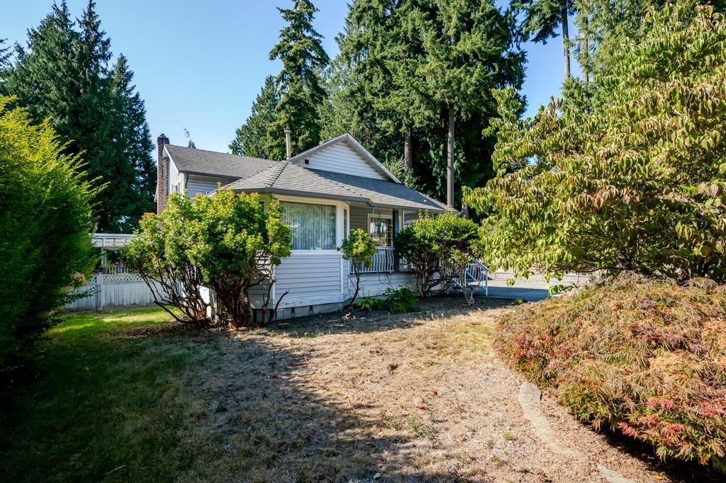 Listing Image 33