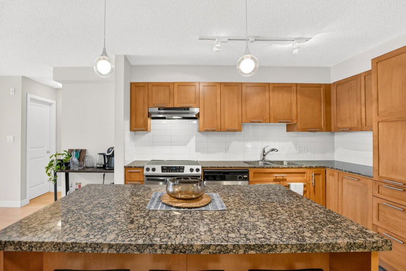 234 - 19673 Meadow Gardens Way