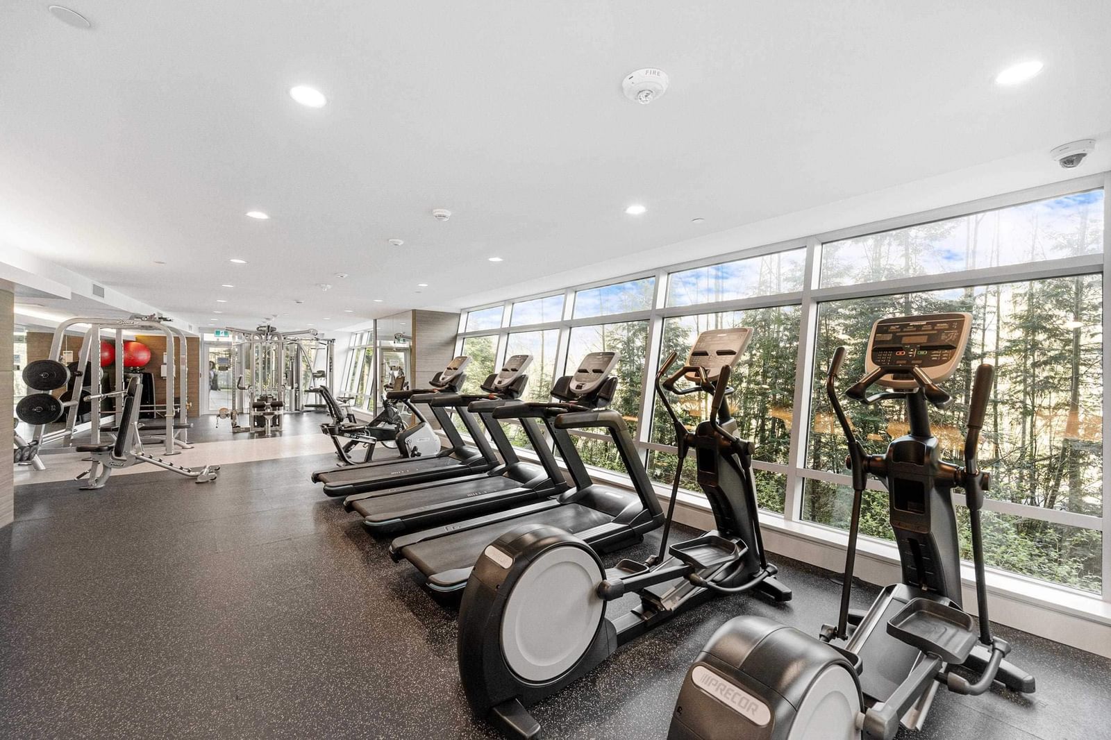 Listing Image 22