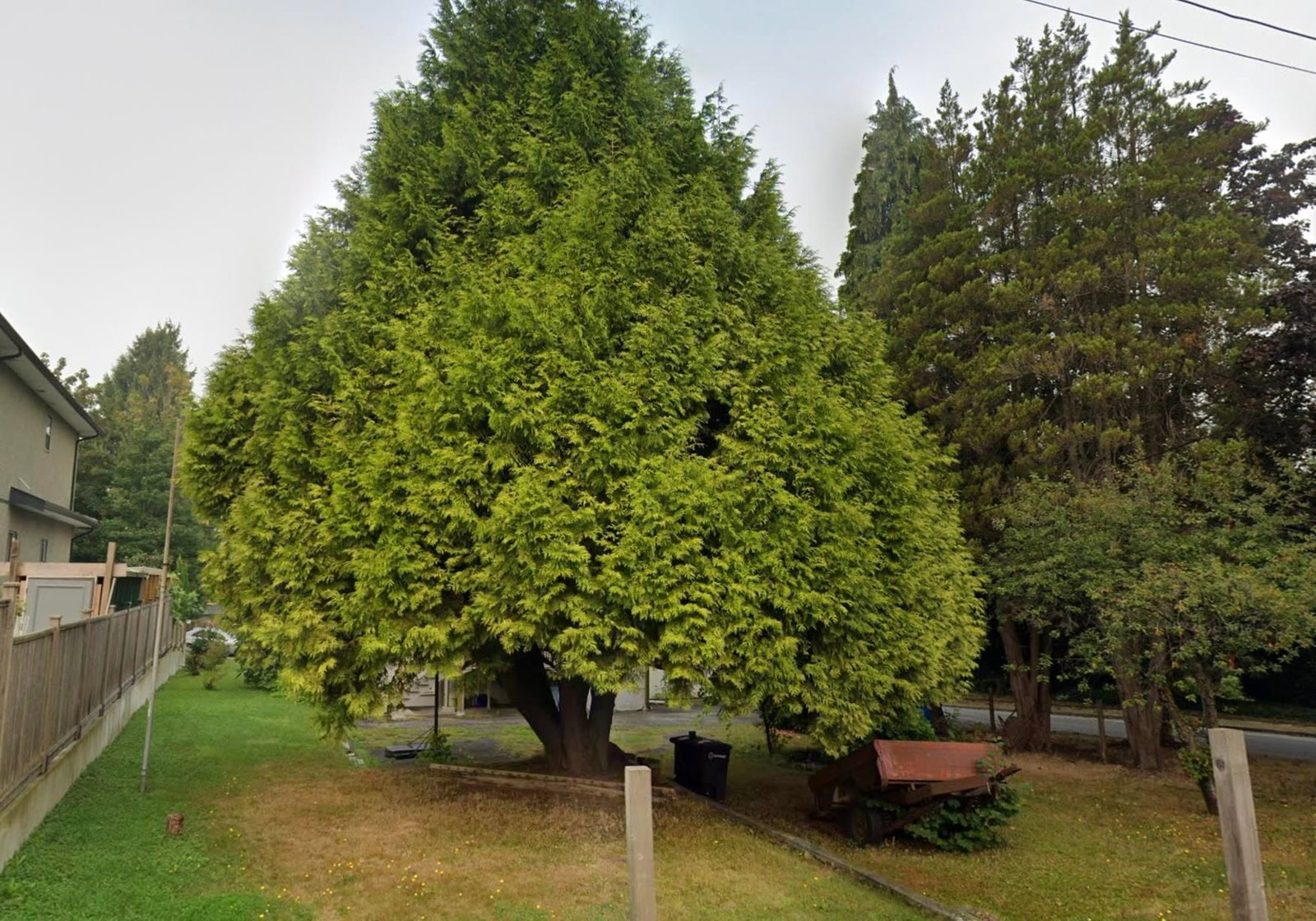 Listing Image 4