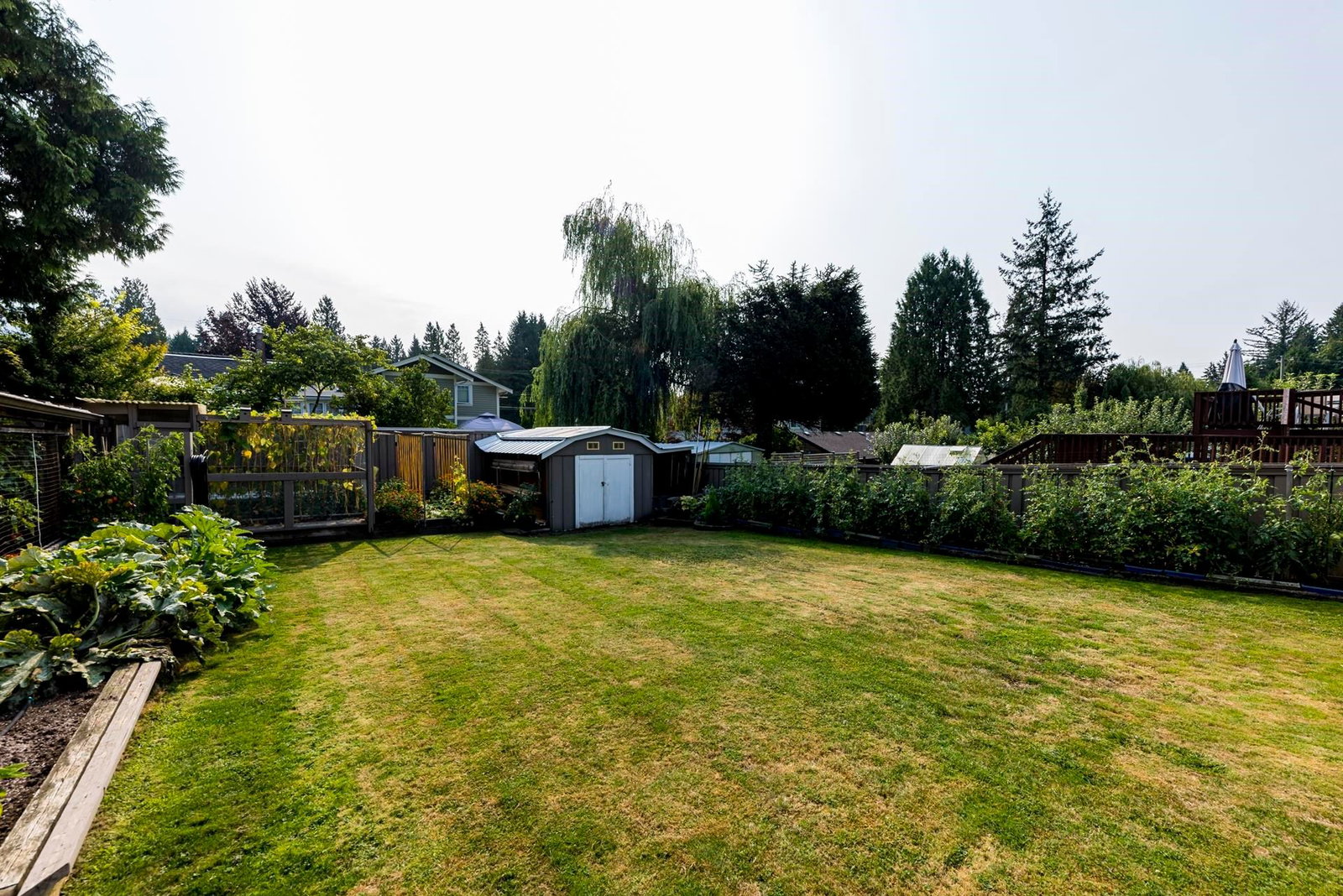 Listing Image 29