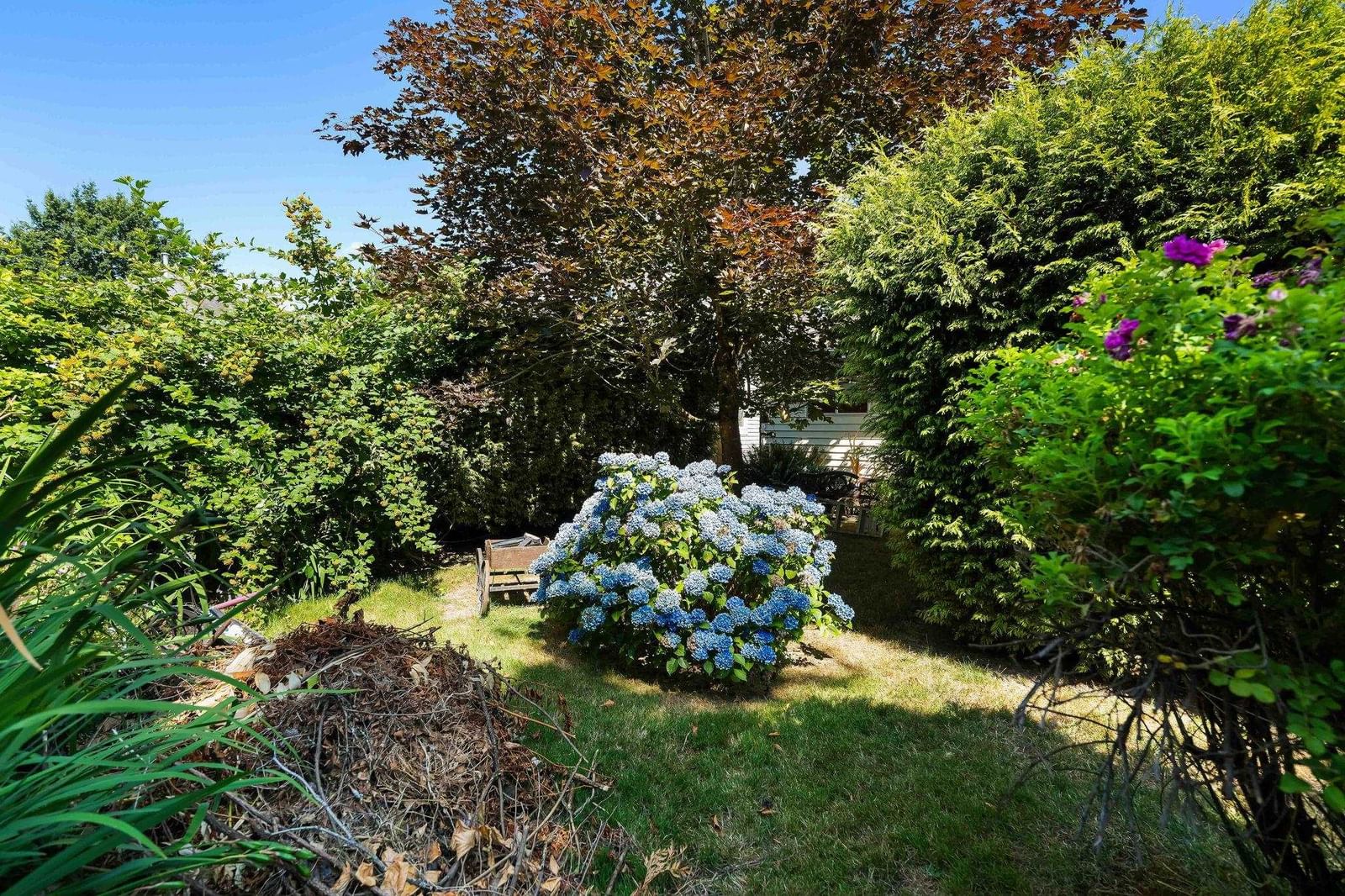 Listing Image 26
