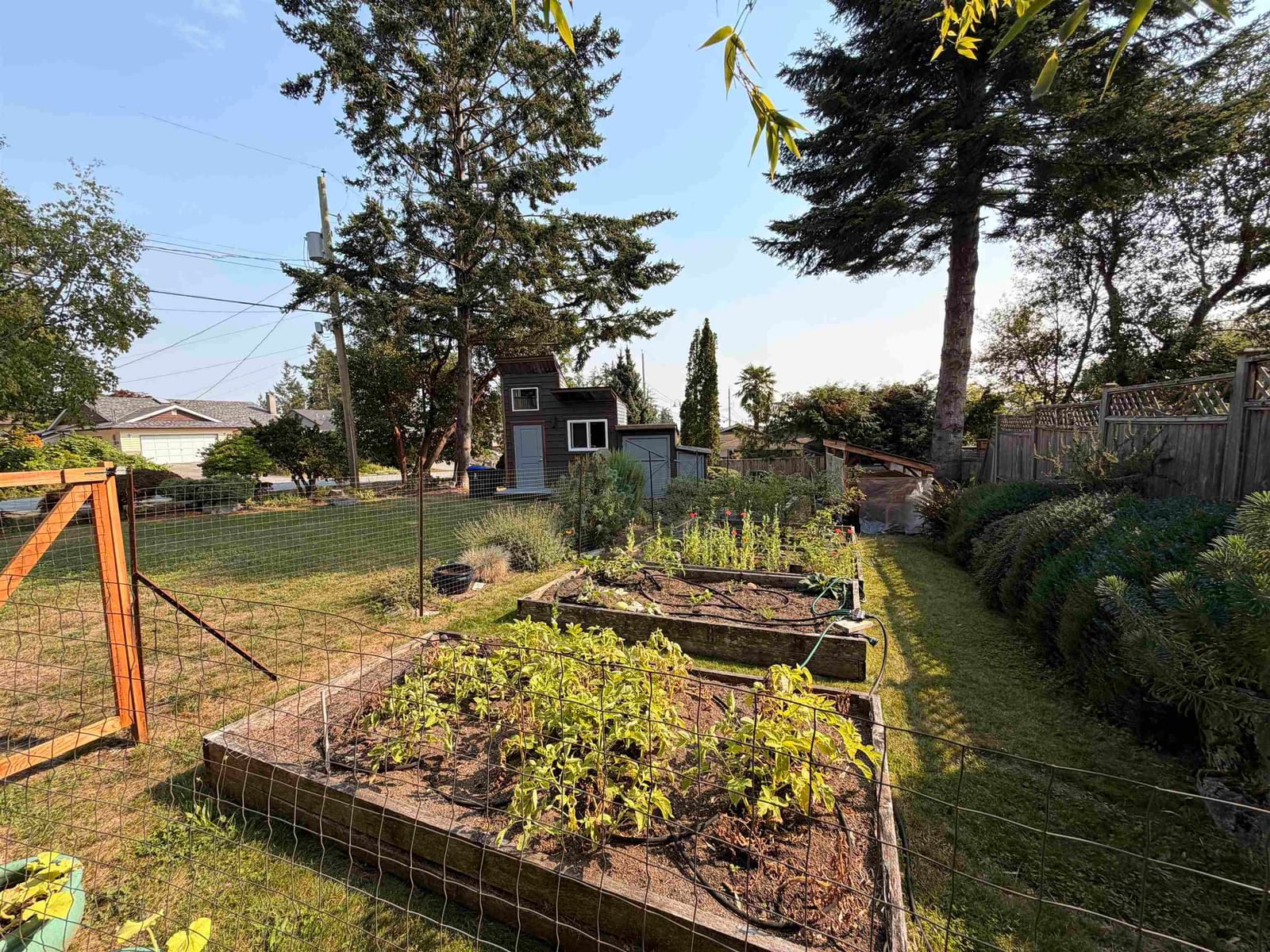 Listing Image 10