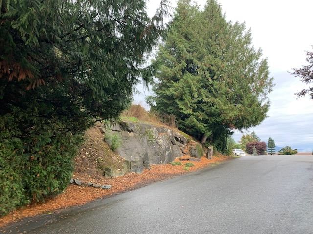 10035 Timberline Place