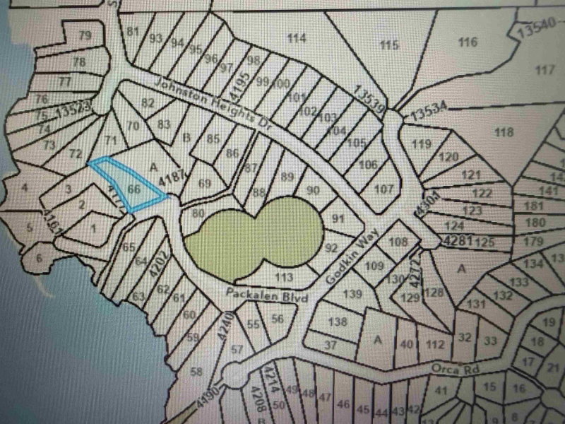 LOT 66 Packalen Boulevard